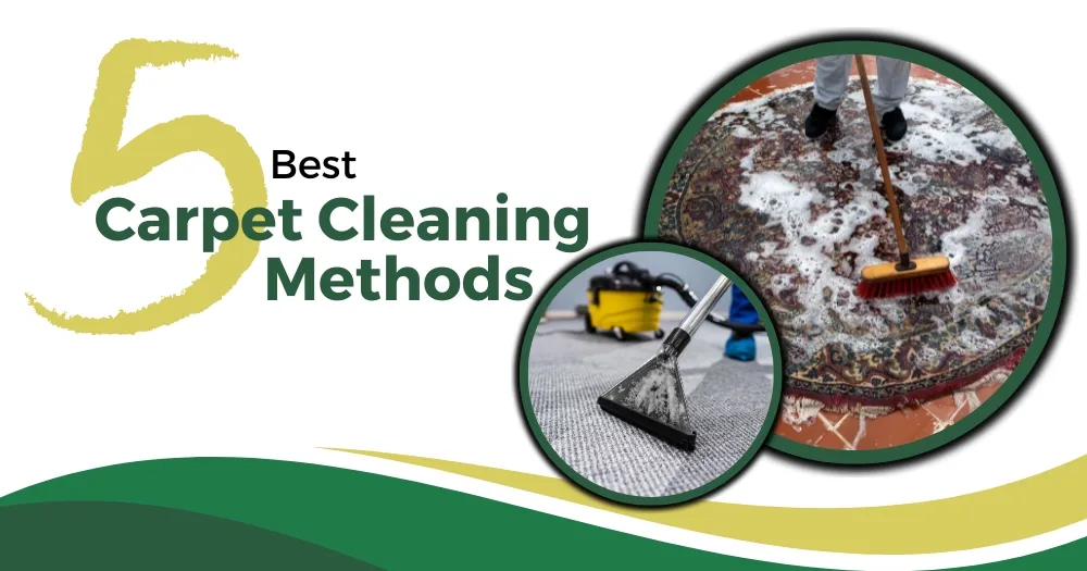 What Is The Best Carpet Cleaning Method? 5 Different Methods